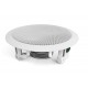 Amate Audio CS6FR