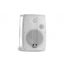 Amate Audio B-6/TW