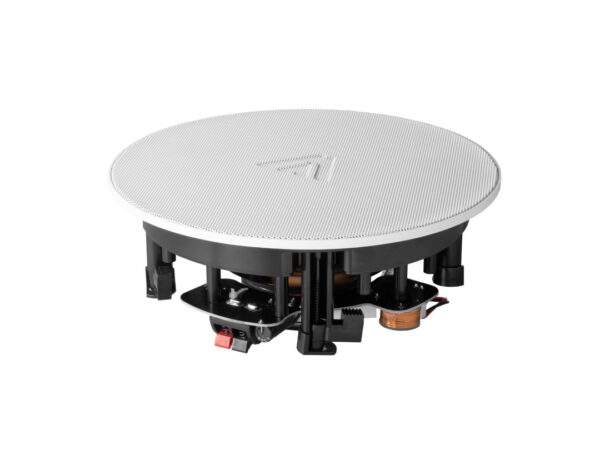 Amate Audio CS7
